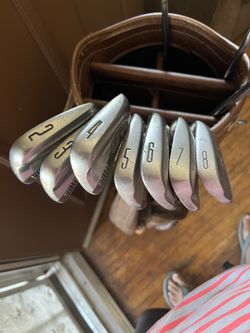 Bolsa Y Palos De Golf