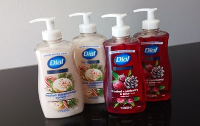 Dial Holiday Handsoap Set | $6