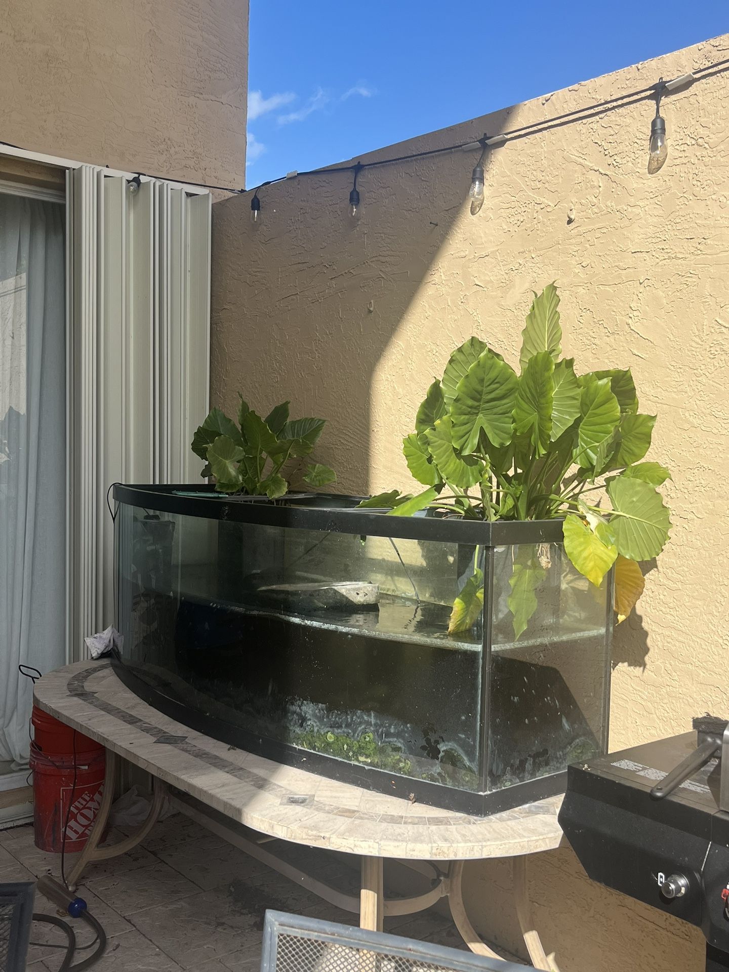 Fish/Reptile Tank  120 Gallon 