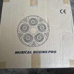 Musical Boxing Game
