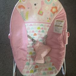 Baby Bouncer