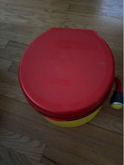 Mickey Mouse potty chair. Also step.