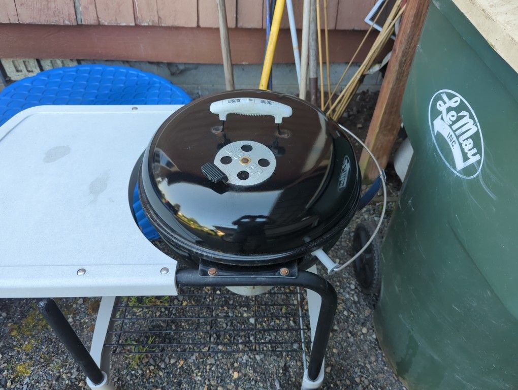 18-In Weber BBQ Charcoal