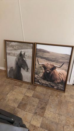 Western theme picture frames