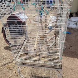 Bird Cage 25$ (PLEASE READ)