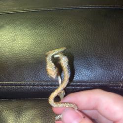 Gold Plated Snake Bracelet