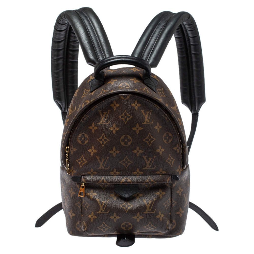 Louis Vuitton Backpack Authentic 