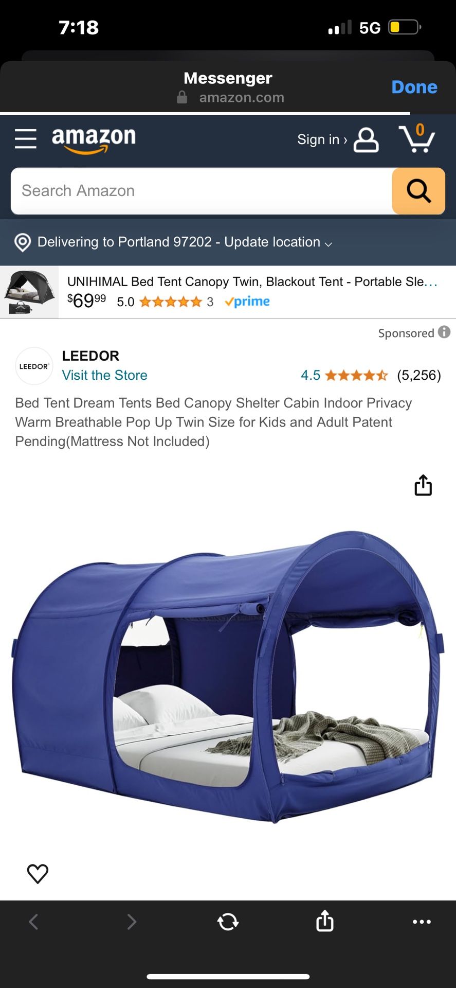 Kids Bed Tent
