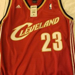 LeBron jersey