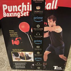 Punching Bag w/ stand and gloves 