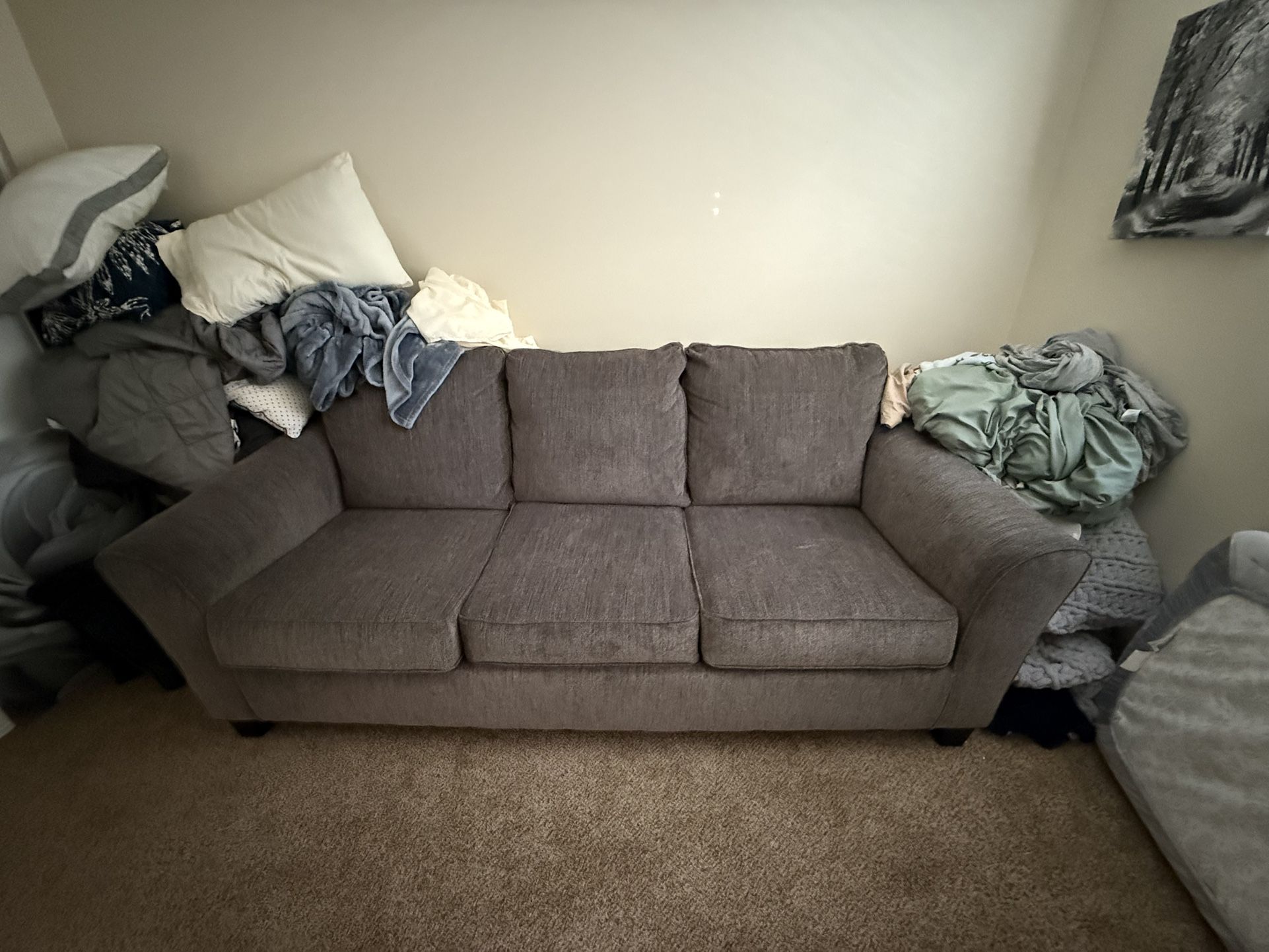 Couch/Bed