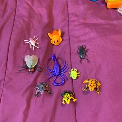 Lot of 9 insects, frogs, and scorpion