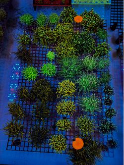 Saltwater reef decorations fake coral