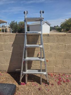24' Gorilla Ladder
