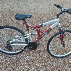 Adult Bike