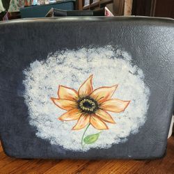 Painted Vtg Samsonite Luggage