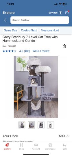 Cat Tree