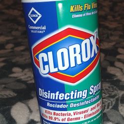 Clorox Disinfecting Spray 