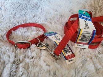 Dog Collar 8", 10", 12" Metal Buckle & 4' Leash Set Red Nylon XS Pet Puppy