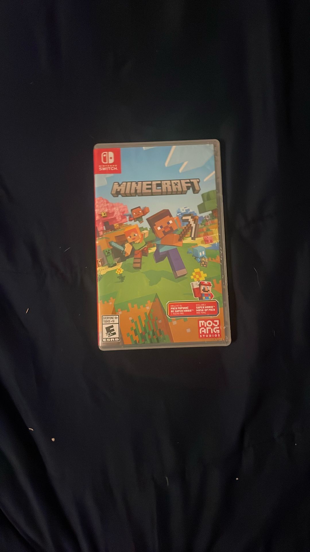 Minecraft For The Nintendo Switch Need Gone ASAP 