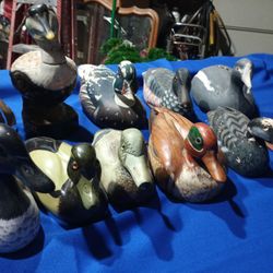 Duck Collectibles 