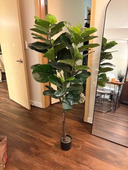 Tall Fake / Faux Plant