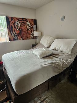 Queen simmons electric bed