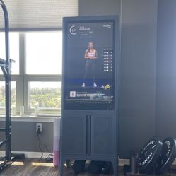 Tempo Studio ( Make A Offer)  Weights Not Included 