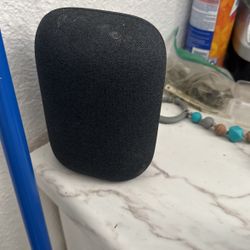 Google Home Nest