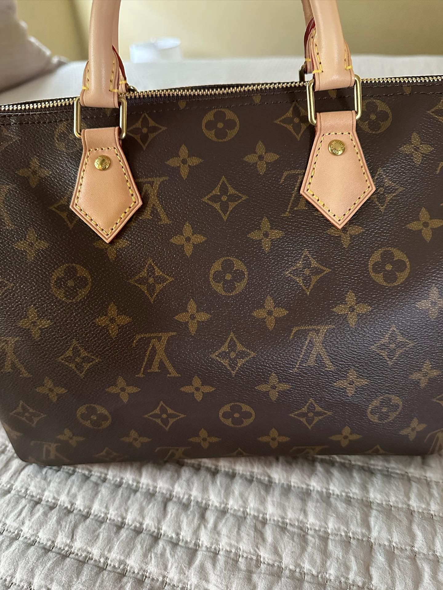Lv Bag