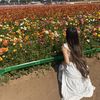 Bloommiera