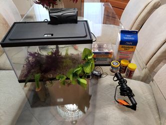 Fish Tank and Fish Tank Accessories