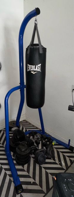 Everlast Punching Bag and Stand