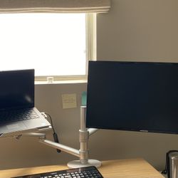 Samsung Monitor And Dual Arm 