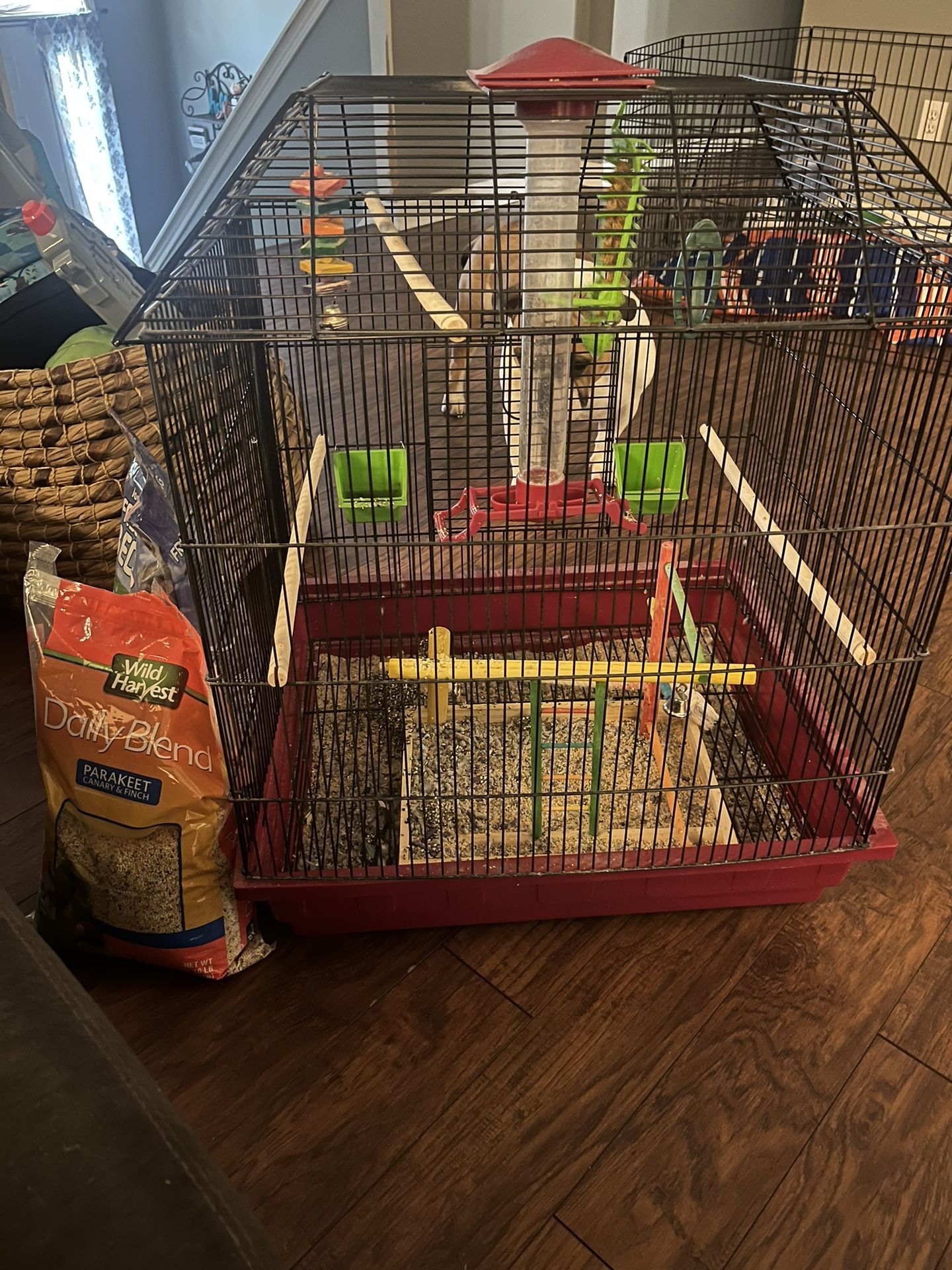 Bird Cage