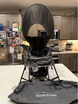 Baby delight go with me portable chair