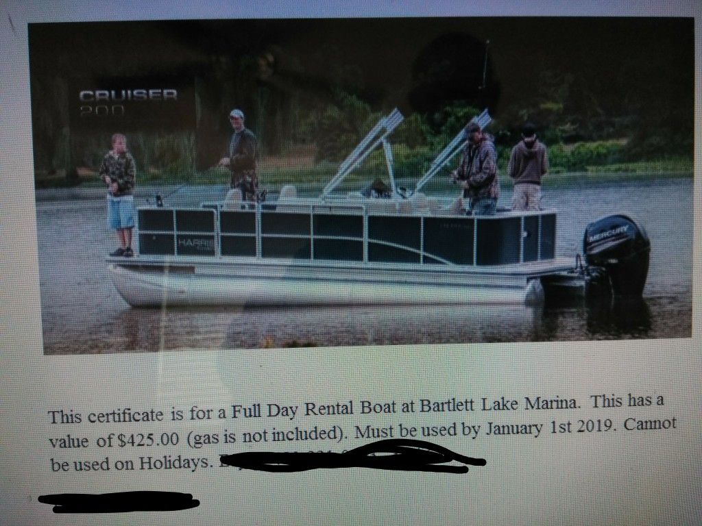 Pontoon Boat rental Bartlett Lake
