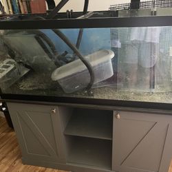 75 Gallon Fish Tank With Stand. 