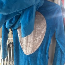 Sonic Costume 