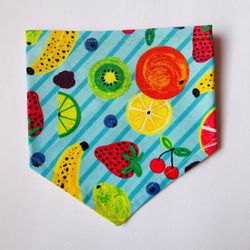 Fruit Lover Dog Bandana | Cat Bandana