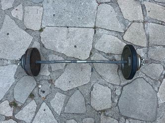 EZ Curl Bar (105 lbs total)