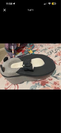 Baby inclined positioner