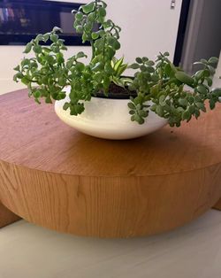 White fiberglass Low Bowl Planter with Plants