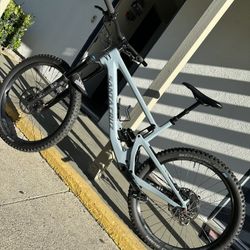 Santa Cruz Bronson
