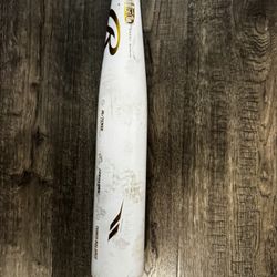 Youth Baseball Bat
