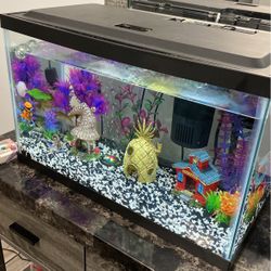 Fish Tank W/ Ornaments 