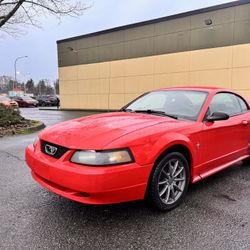 2003 FORD MUSTANG 