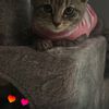 Brenda