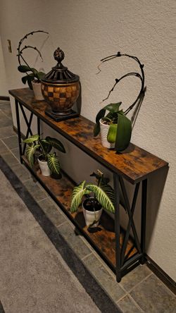 Narrow Console Table with Houseplants – Rustic Wood & Black Metal, 3 Months Old