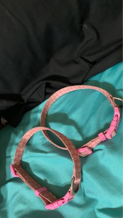 Dog collars